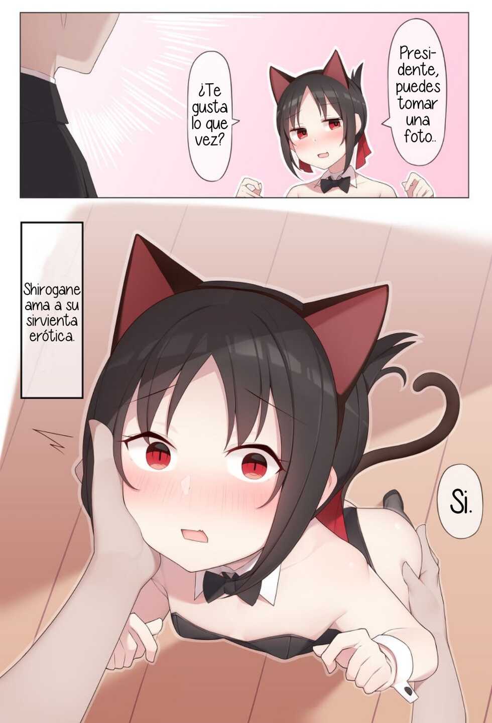 [Alapi] Nekomimi no Kaguya-sama (Kaguya-sama wa Kokurasetai) [Spanish] - Page 1