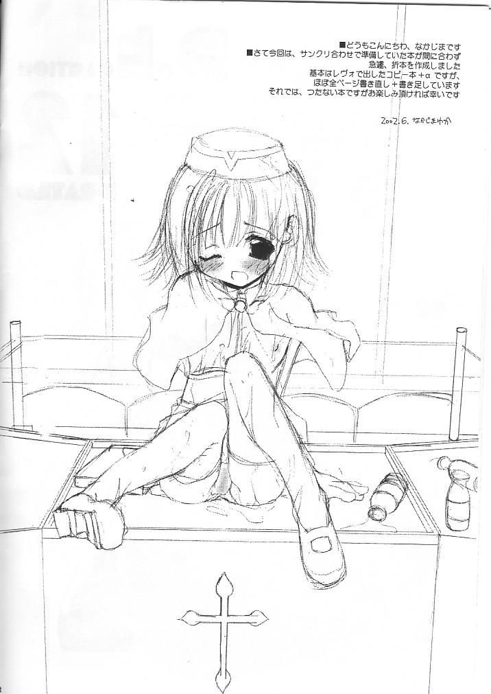 [Digital Lover]D.L. Action 12(Ragnarok Online) + Rough Sketch 43(Code Geass)(PL) - Page 2