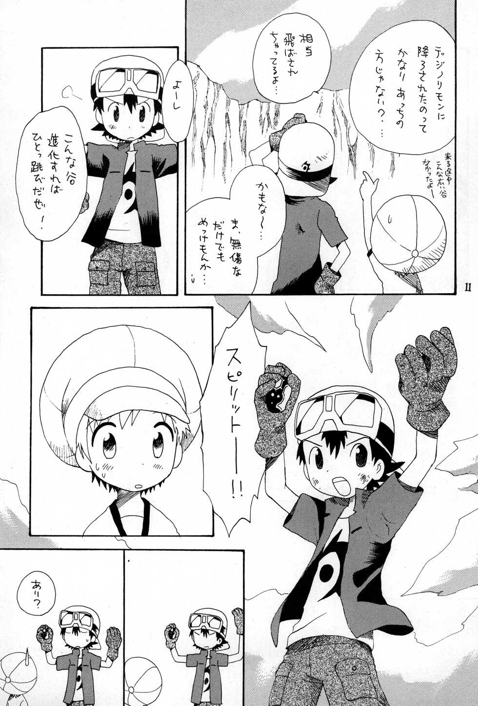 (C62) [Kuruguru DNA (Hoshiai Hilo)] Brother Blue Berry (Digimon Frontier) - Page 10