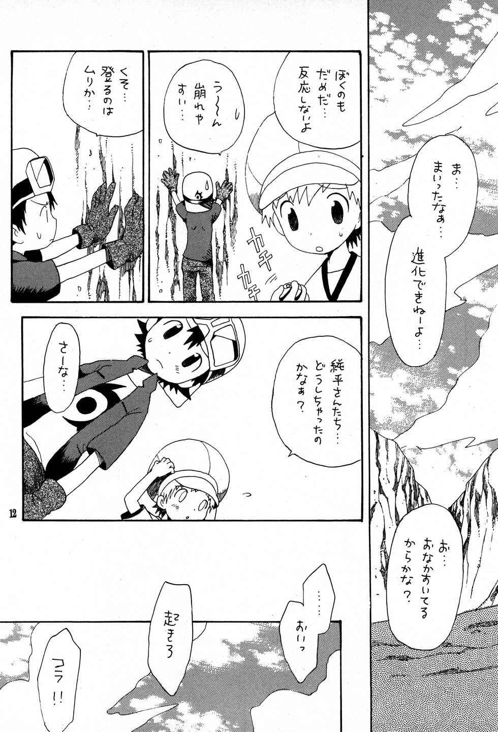 (C62) [Kuruguru DNA (Hoshiai Hilo)] Brother Blue Berry (Digimon Frontier) - Page 11