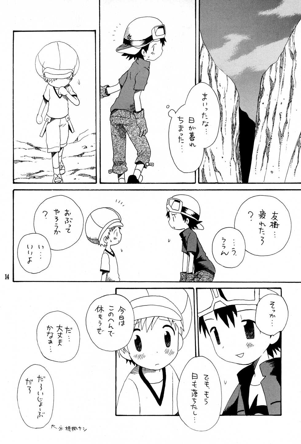 (C62) [Kuruguru DNA (Hoshiai Hilo)] Brother Blue Berry (Digimon Frontier) - Page 13