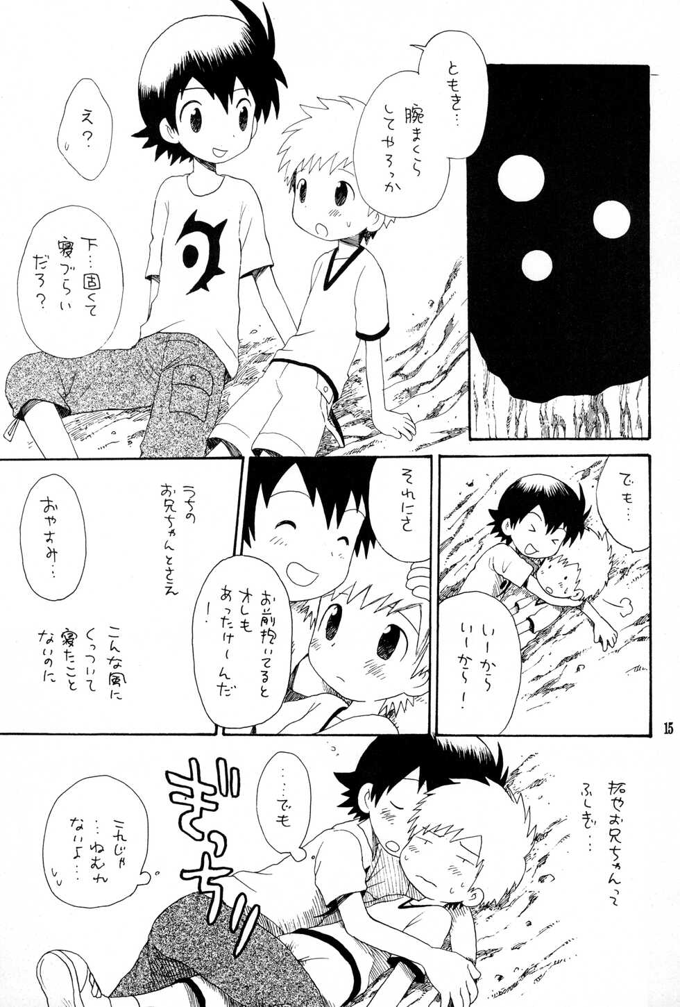 (C62) [Kuruguru DNA (Hoshiai Hilo)] Brother Blue Berry (Digimon Frontier) - Page 14