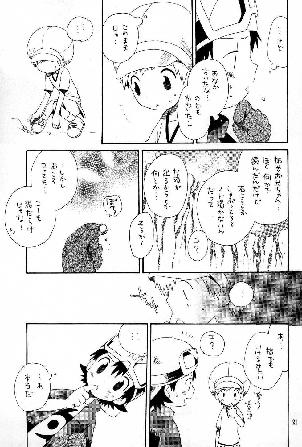 (C62) [Kuruguru DNA (Hoshiai Hilo)] Brother Blue Berry (Digimon Frontier) - Page 20