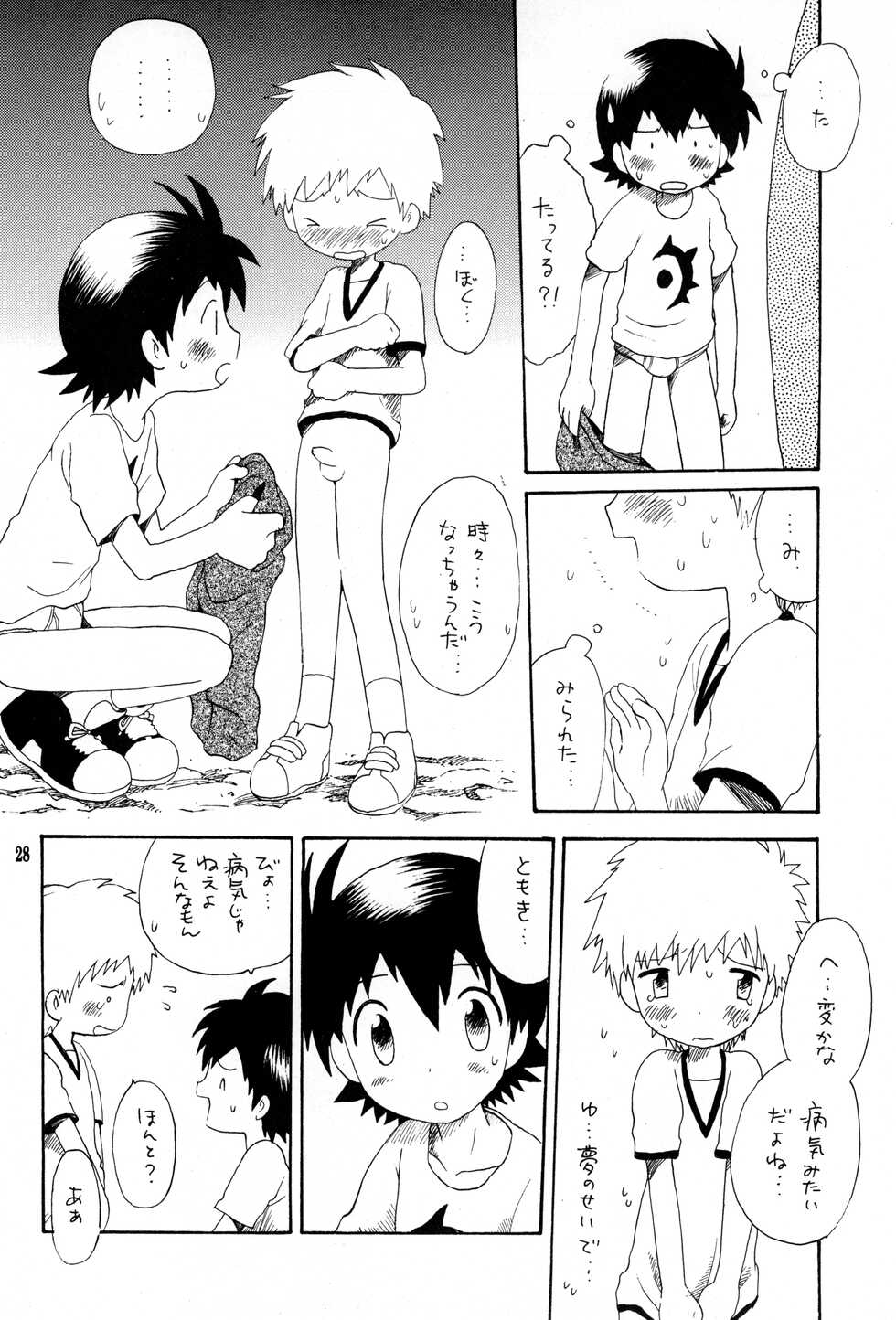 (C62) [Kuruguru DNA (Hoshiai Hilo)] Brother Blue Berry (Digimon Frontier) - Page 27