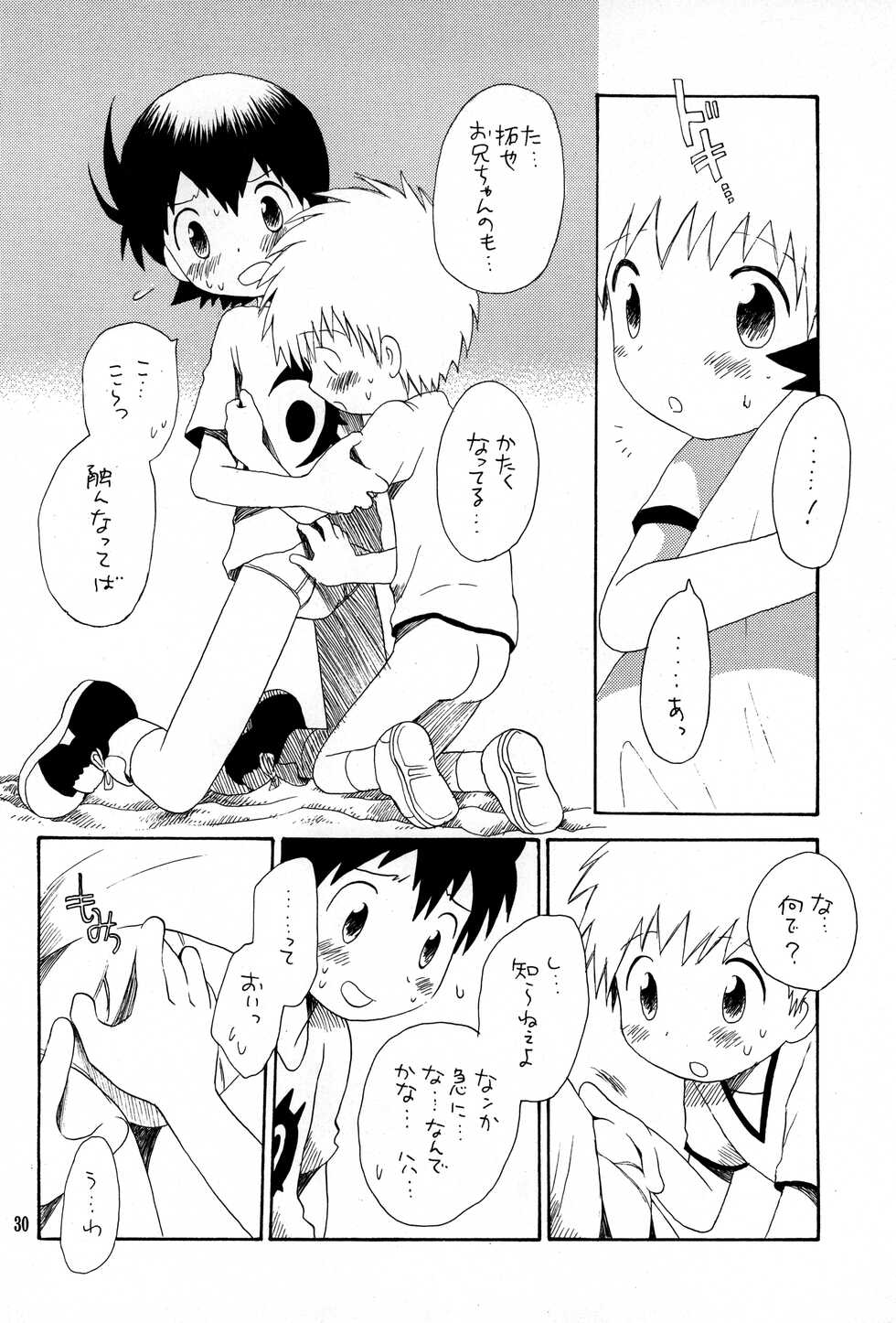 (C62) [Kuruguru DNA (Hoshiai Hilo)] Brother Blue Berry (Digimon Frontier) - Page 29