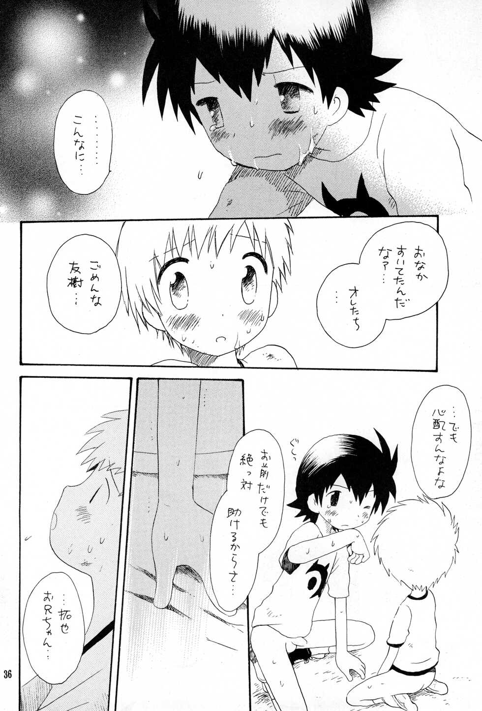 (C62) [Kuruguru DNA (Hoshiai Hilo)] Brother Blue Berry (Digimon Frontier) - Page 35