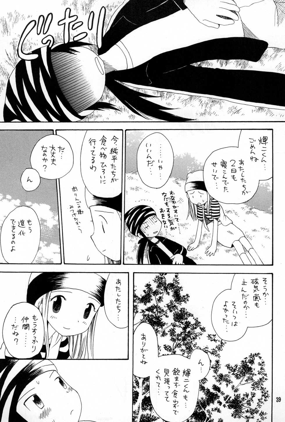 (C62) [Kuruguru DNA (Hoshiai Hilo)] Brother Blue Berry (Digimon Frontier) - Page 38