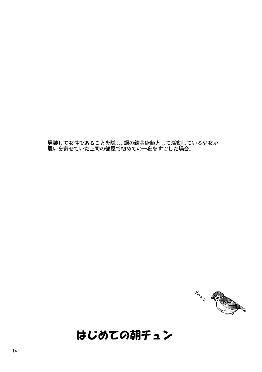 [Cucumis] Euphoria (Fullmetal Alchemist) - Page 12