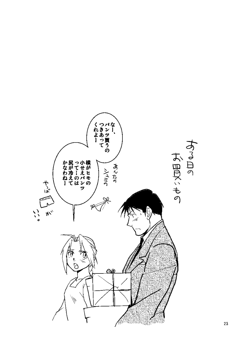 [Cucumis] Euphoria (Fullmetal Alchemist) - Page 21