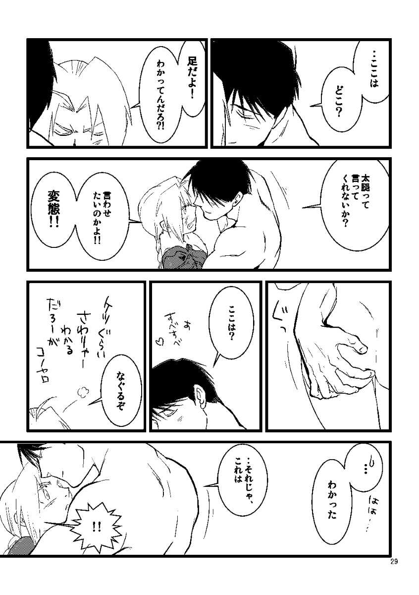 [Cucumis] Euphoria (Fullmetal Alchemist) - Page 27