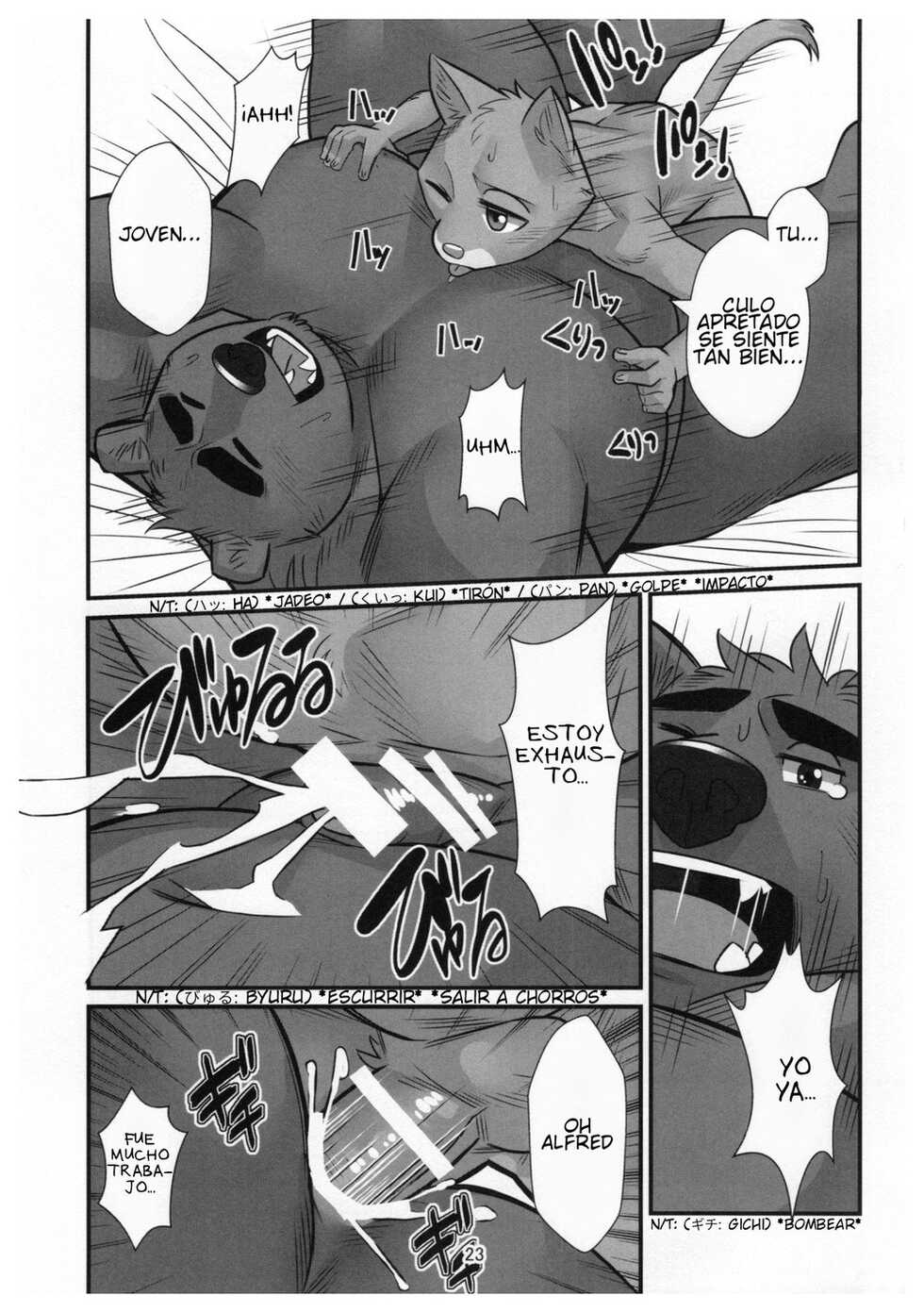 (Kansai! Kemoket 6) [Yuutopia (Oaks)] Kuma Shitsuji Alfred [Spanish] - Page 22