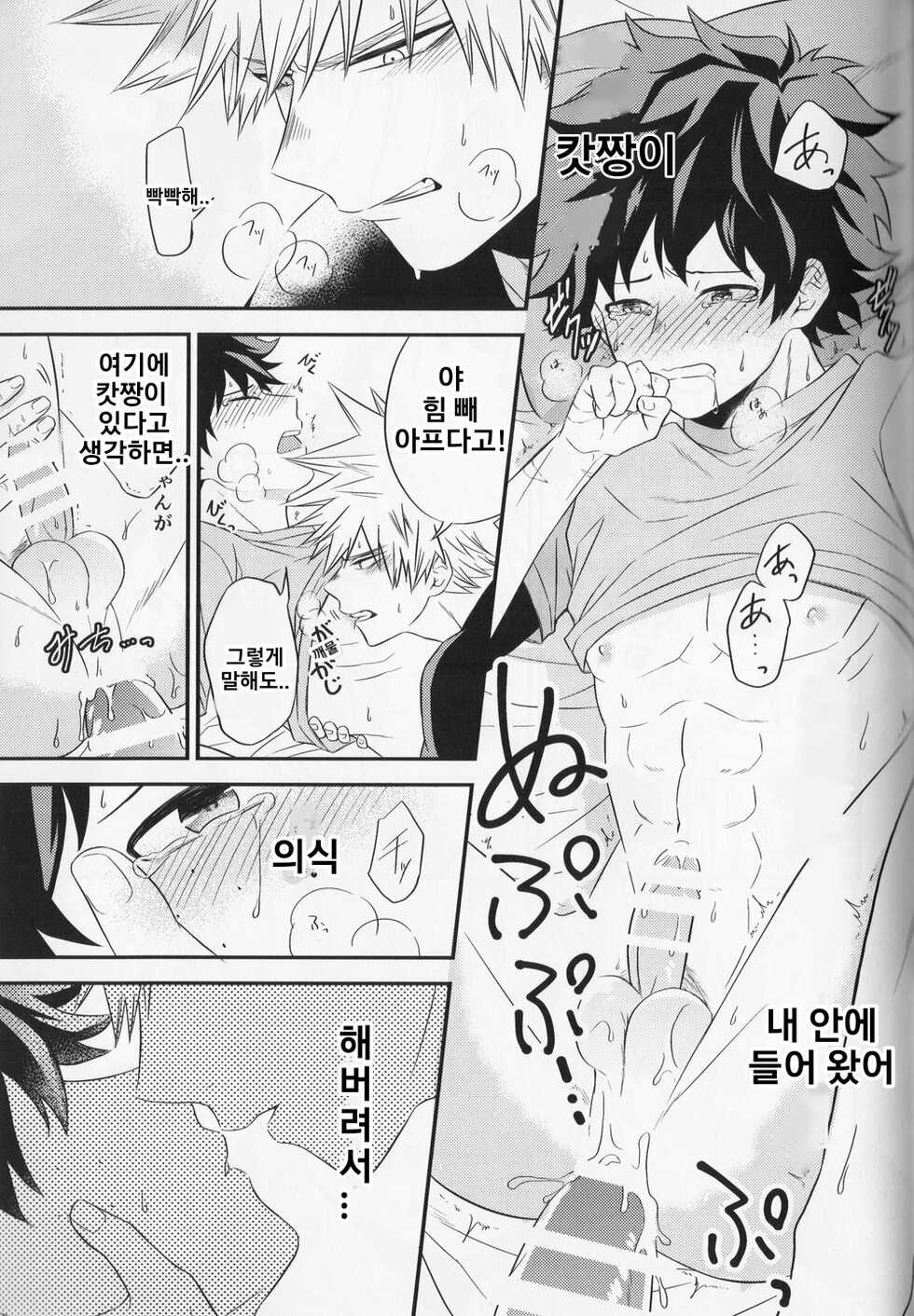 (Douyara Deban no Youda! 10) [Gateau Scotch (Amakuchi Lencon)] SwalloW DowN (Boku no Hero Academia) [Korean] - Page 26