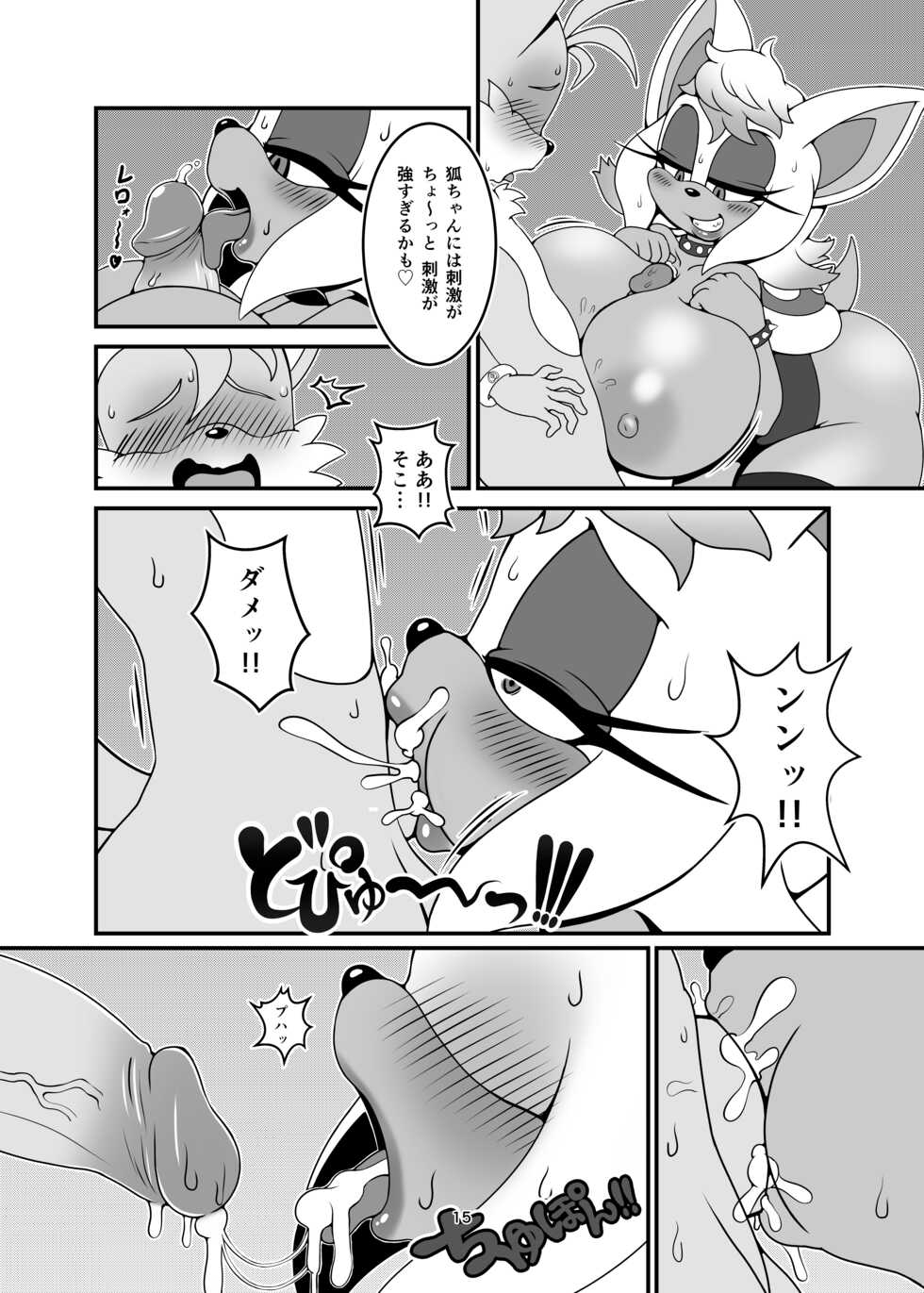 [Furry Fandom (Michiyoshi)] Kemono no Kanzume Kanzenban Gaiden 5 (Sonic the Hedgehog) [Digital] - Page 15