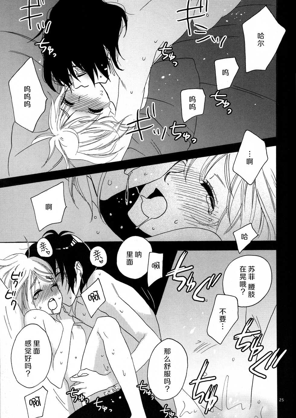 [MELROSE’S (Sara Chiyomi)] ：serenade：  (Howl's Moving Castle) [Chinese] [莉赛特汉化组] [Digital] - Page 23