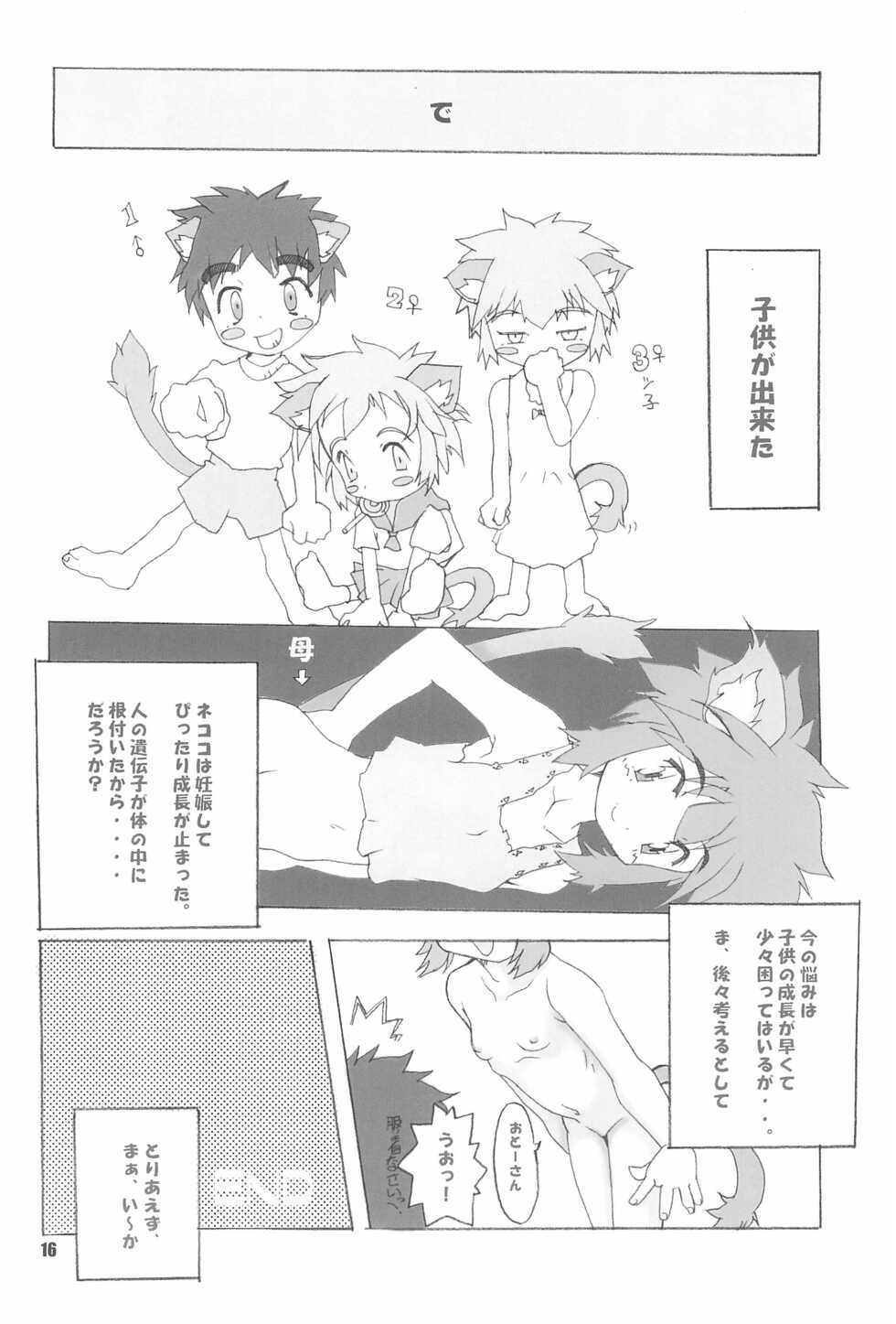 (C59) [FREE HEAVEN (Sawadai)] Nekoroman - Page 16