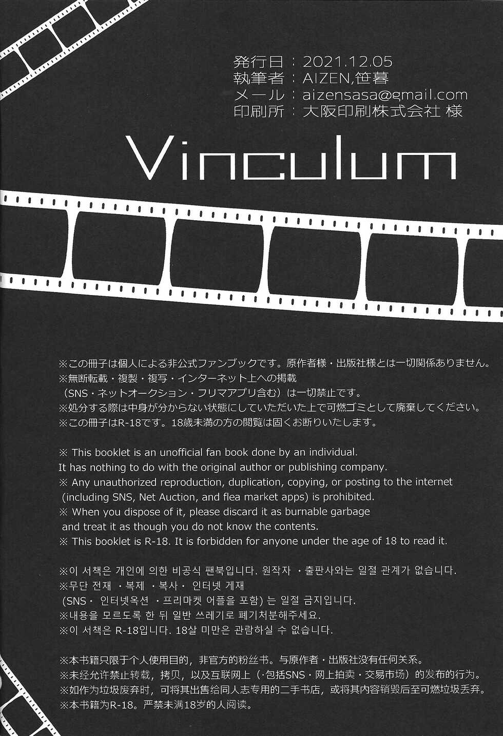 (Lucky Card! 3) [AIZEN (A.Sasakure)] Vinculum (Yu-Gi-Oh! VRAINS) - Page 25