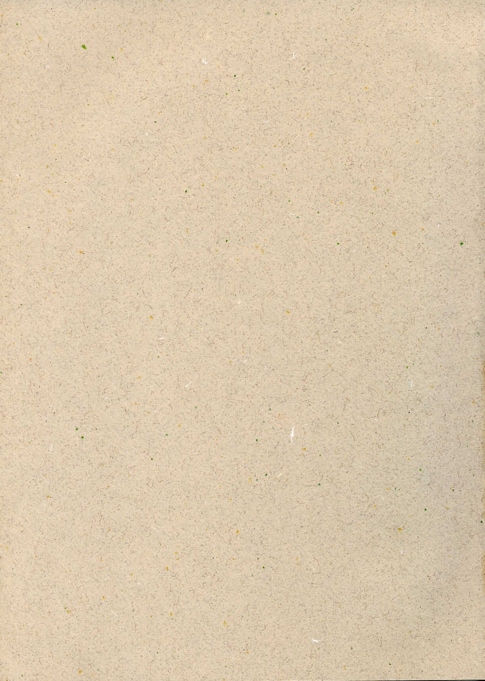 (C67) [twinzito (Tsukiyoshi Hiroki)] devo cinque (Mai-HiME) - Page 2