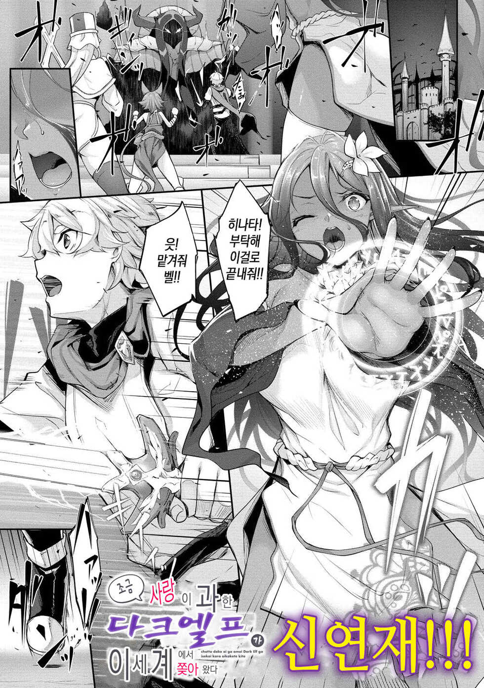 [In The Sky (Nakano Sora)] Chotto dake Ai ga Omoi Dark Elf ga Isekai kara Oikakete Kita 3 | 조금 사랑이 과한 다크엘프가 이세계에서 쫓아왔다3 [Korean] [팀 마스터] [Digital] - Page 33