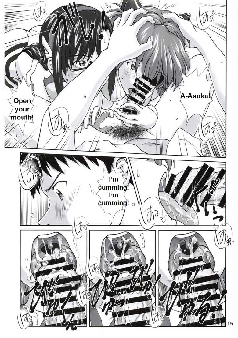 [TENGU NO TSUZURA (Kuro Tengu)] 0208 (Neon Genesis Evangelion) [English] - Page 14