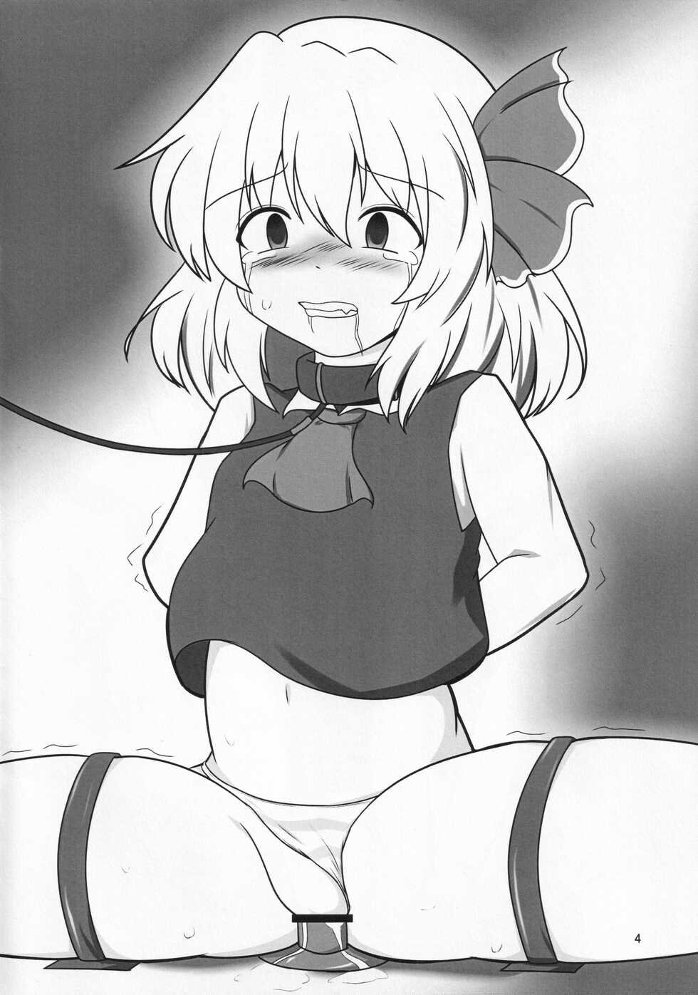 (C87) [Nanahachi (Nanahara Yakumo)] Yuganda Aijou (Touhou Project) - Page 3