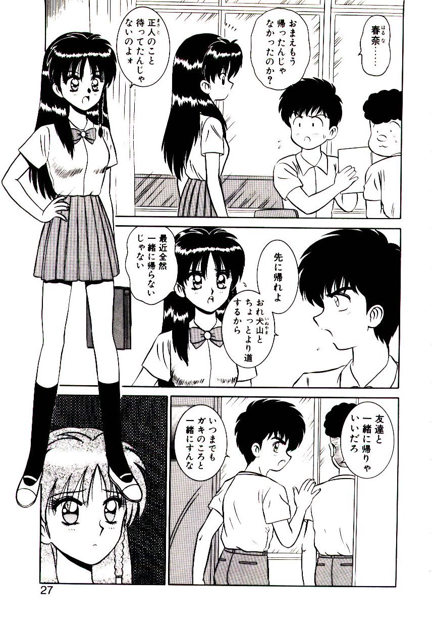 [Shinkuukan] Otome Chuuihou - Page 28
