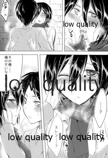 (C85) [Jagabata (Oimo)] Eren to Mikasa ga Tada no Love Love na Hon (Shingeki no Kyojin) - Page 7