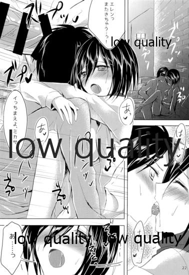 (C85) [Jagabata (Oimo)] Eren to Mikasa ga Tada no Love Love na Hon (Shingeki no Kyojin) - Page 21