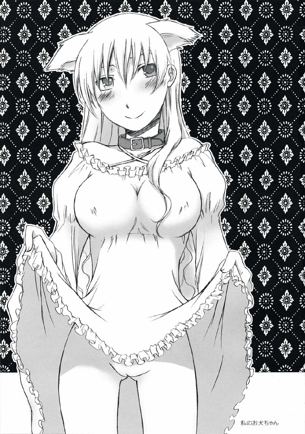 (C73) [Kan wa Damatte Okappa Megane (Hakata Mentaiko)] Watashi no Oinu-chan (Ar Tonelico) - Page 3