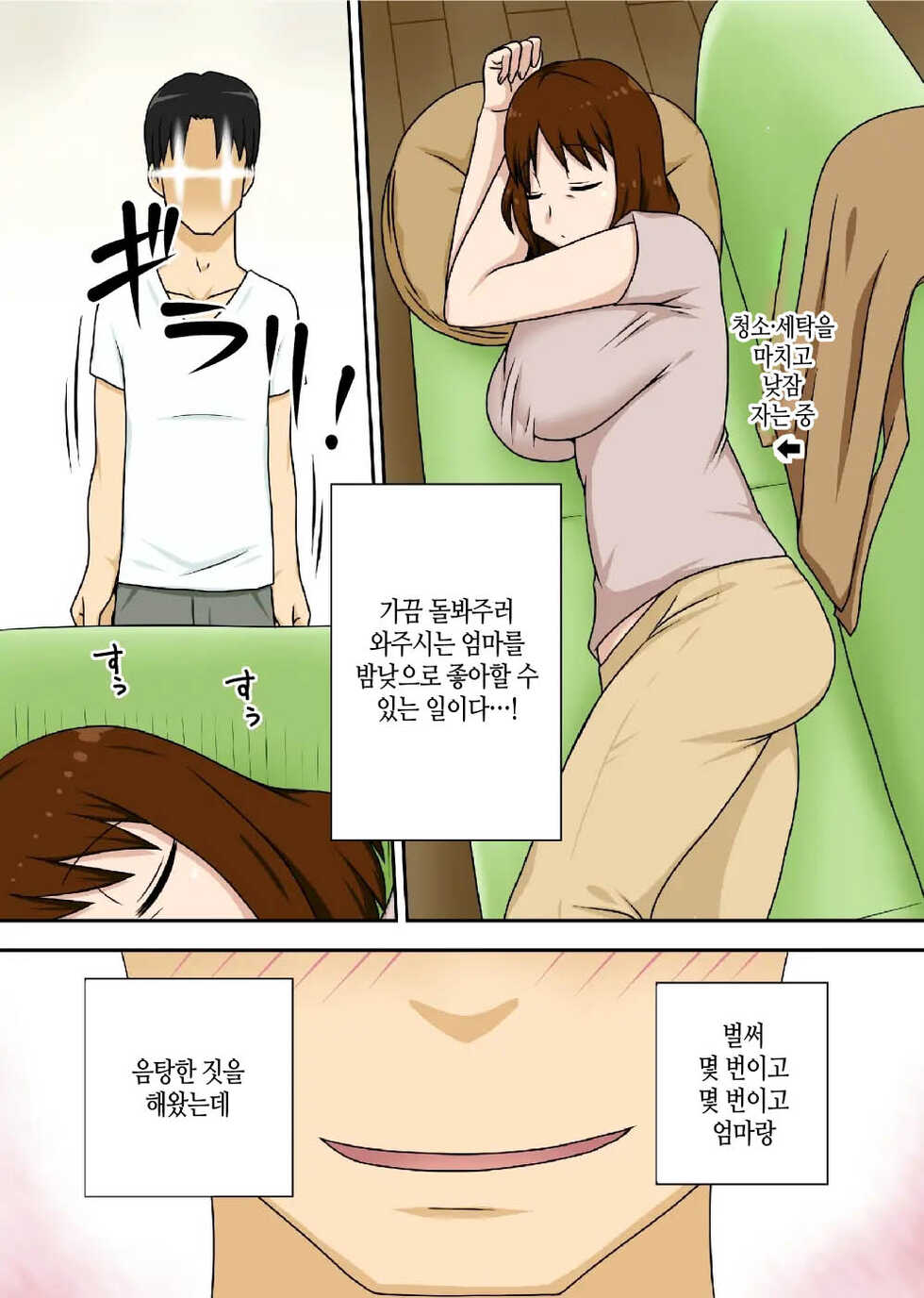 [Freehand Tamashii (DT Hone)] To Iu Wake de Kaa-san to Tadatada Itonamu [Korean] [팀 마스터] - Page 3