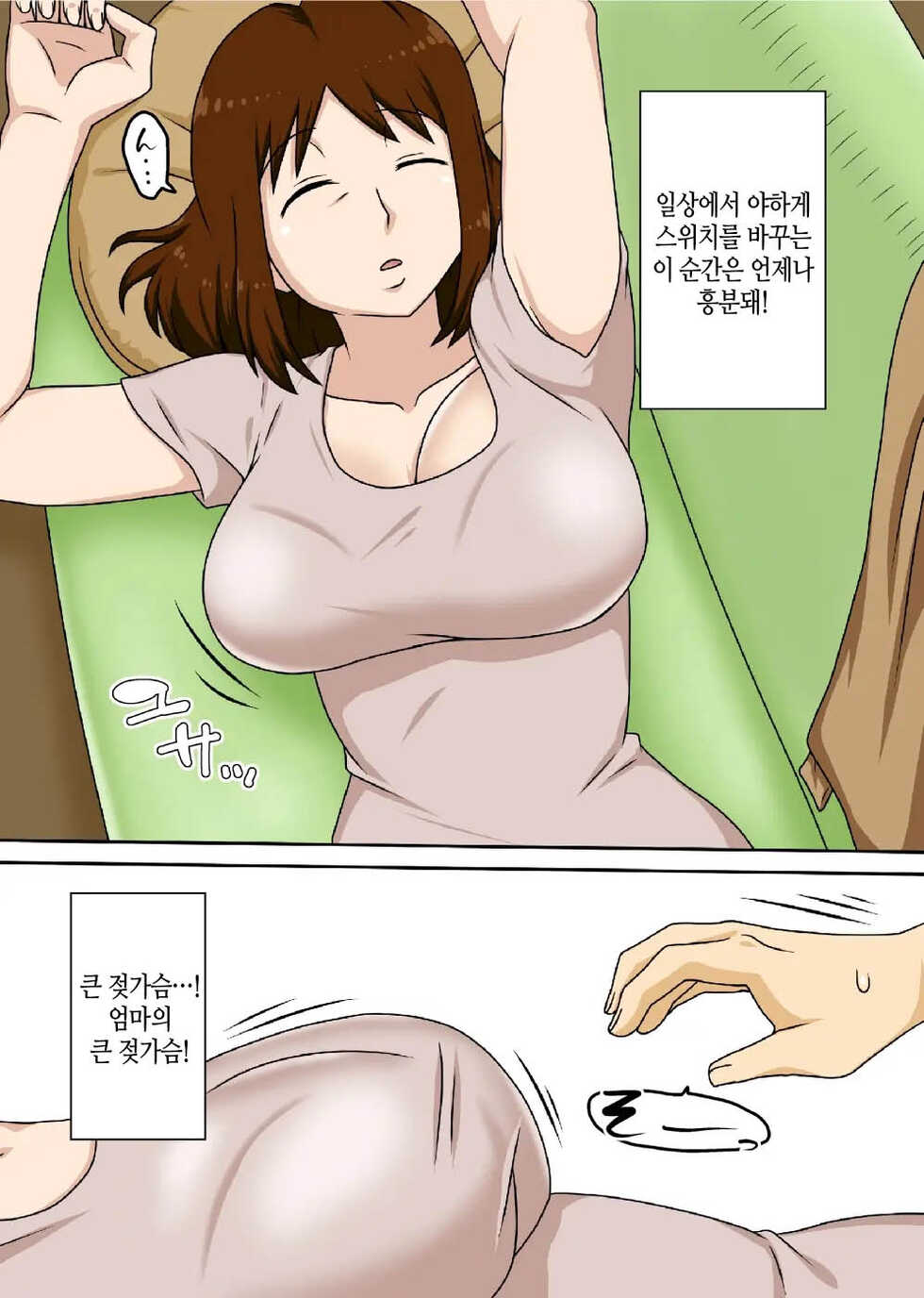 [Freehand Tamashii (DT Hone)] To Iu Wake de Kaa-san to Tadatada Itonamu [Korean] [팀 마스터] - Page 4
