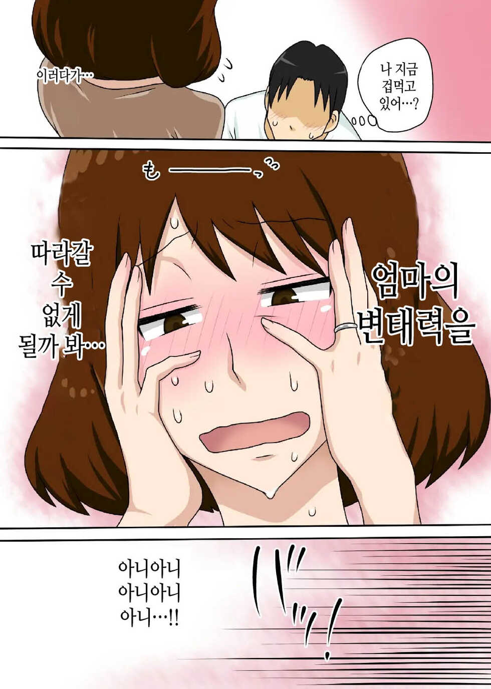 [Freehand Tamashii (DT Hone)] To Iu Wake de Kaa-san to Tadatada Itonamu [Korean] [팀 마스터] - Page 18