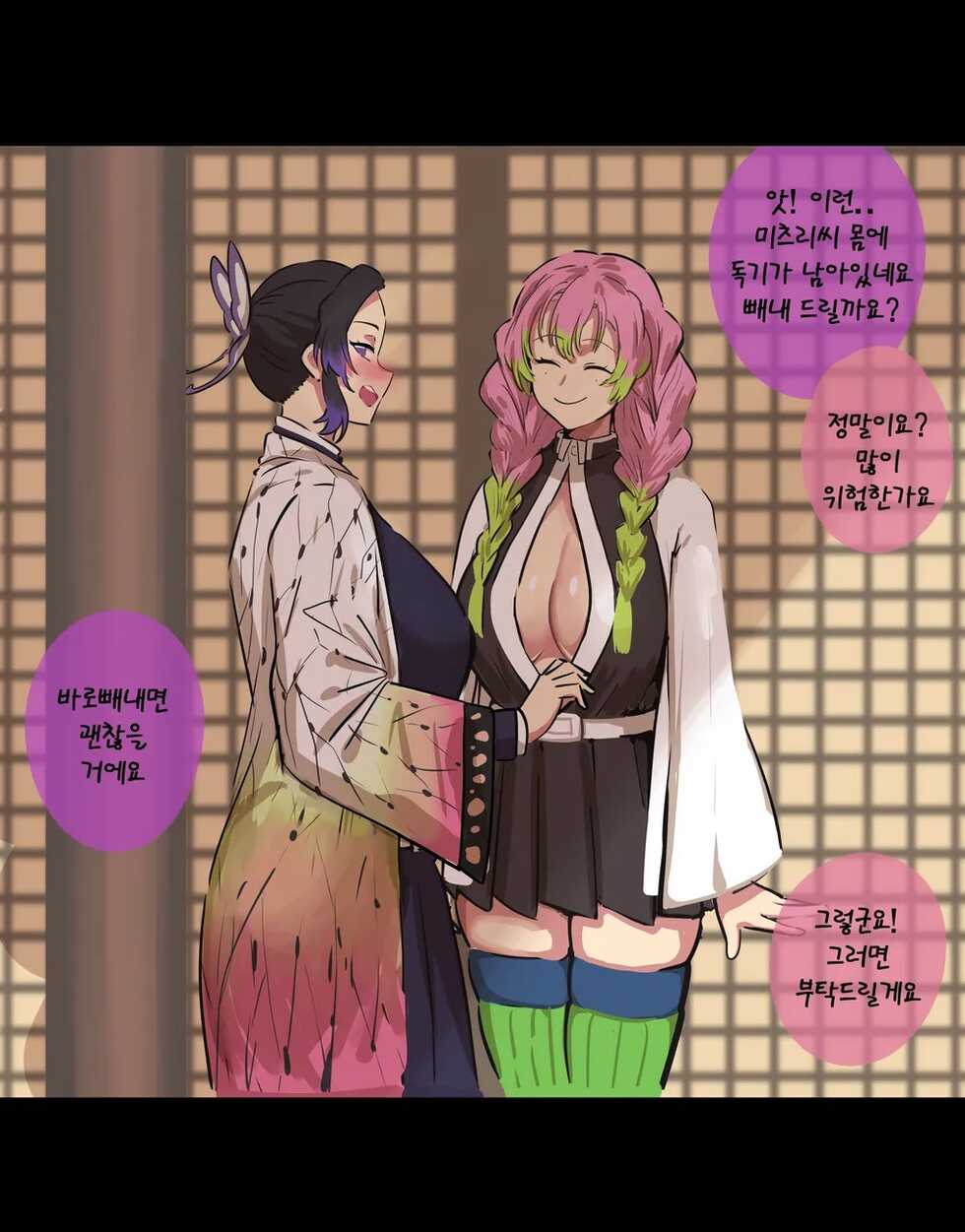 [Ooyun] Demon Slayer Shinobu Mitsuri (Kimetsu no Yaiba) [Korean] - Page 4