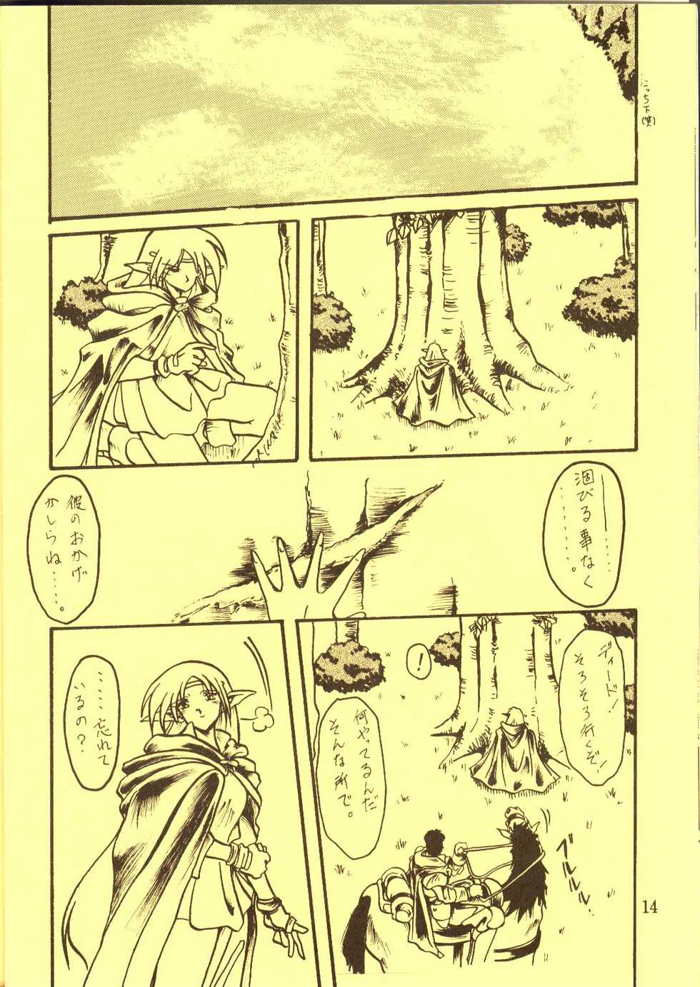 [Waku Waku Doubutsuen, Neko Apron (Various)] DIEDLIT 2 (Record of Lodoss War) - Page 13