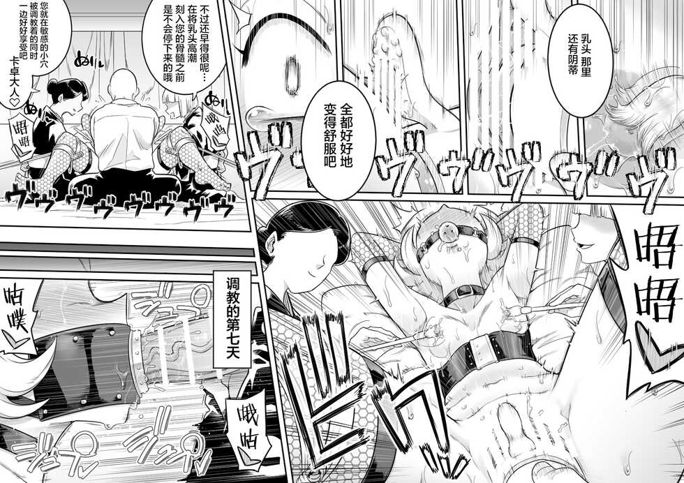 [Shine Nabyss] Kachou Seidorei Choukyou II (Hunter x Hunter)[Chinese] - Page 7