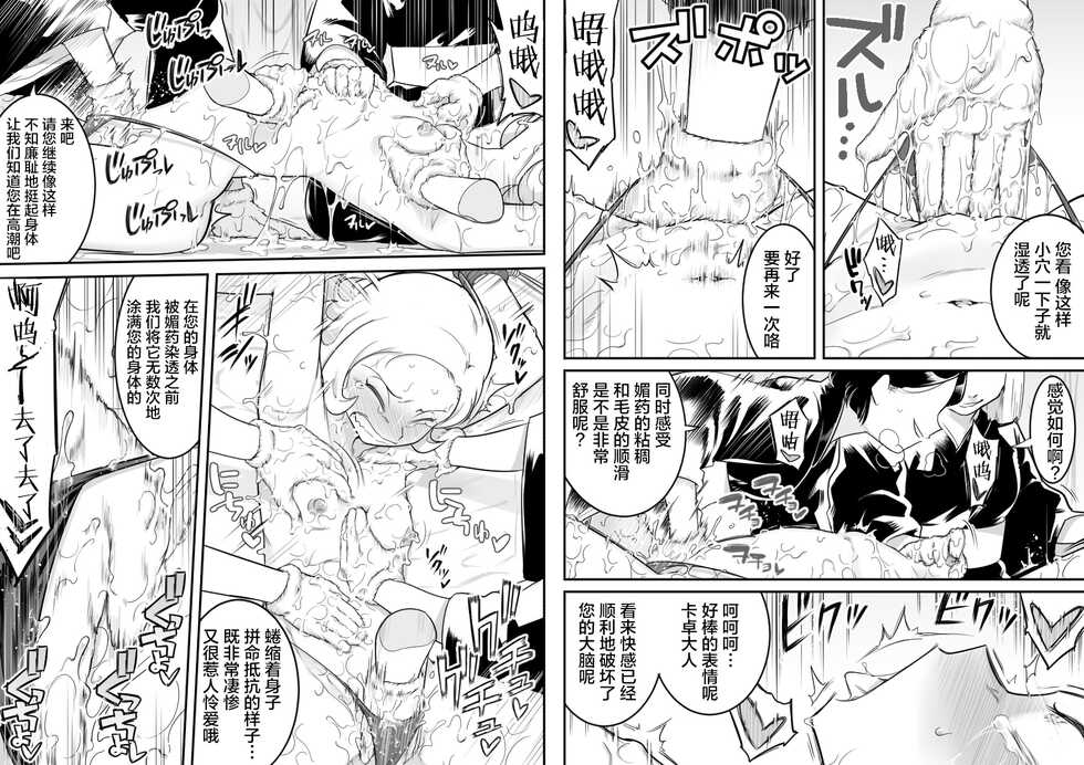 [Shine Nabyss] Kachou Seidorei Choukyou II (Hunter x Hunter)[Chinese] - Page 21