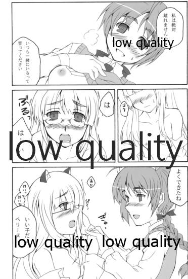 [リコリスキャンディ (黒甘)] パリダケン (ストライクウィッチーズ) - Page 14