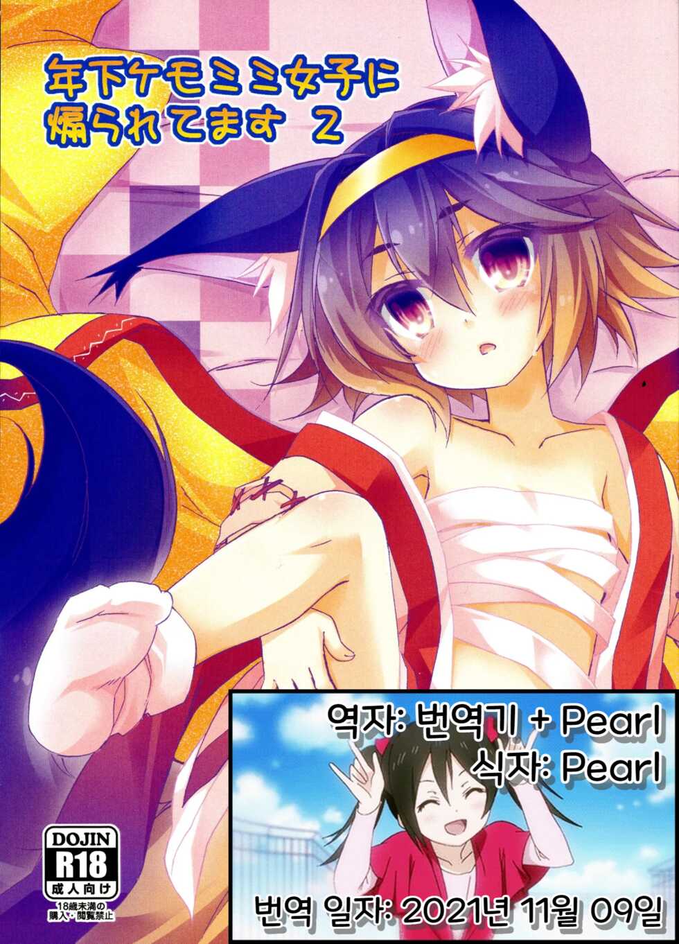 (C96) [Koneko no Manma (Minazoi Kuina)] Toshishita Kemomimi Joshi ni Aora Retemasu 2 | 연하 케모미미 소녀에게 강요 당하고 있습니다. 2 (No Game No Life) [korean] - Page 2