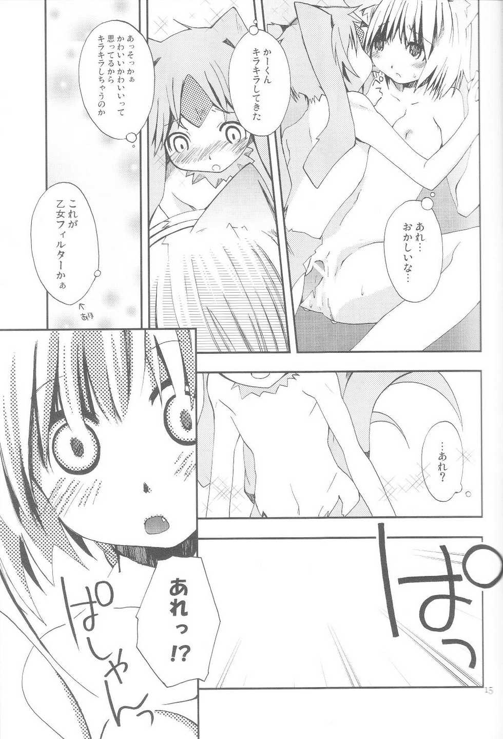 (C73) [Pink no Chao! (Shikage Nagi)] Vana'diel Trimyuhn Retry (Final Fantasy XI) - Page 14