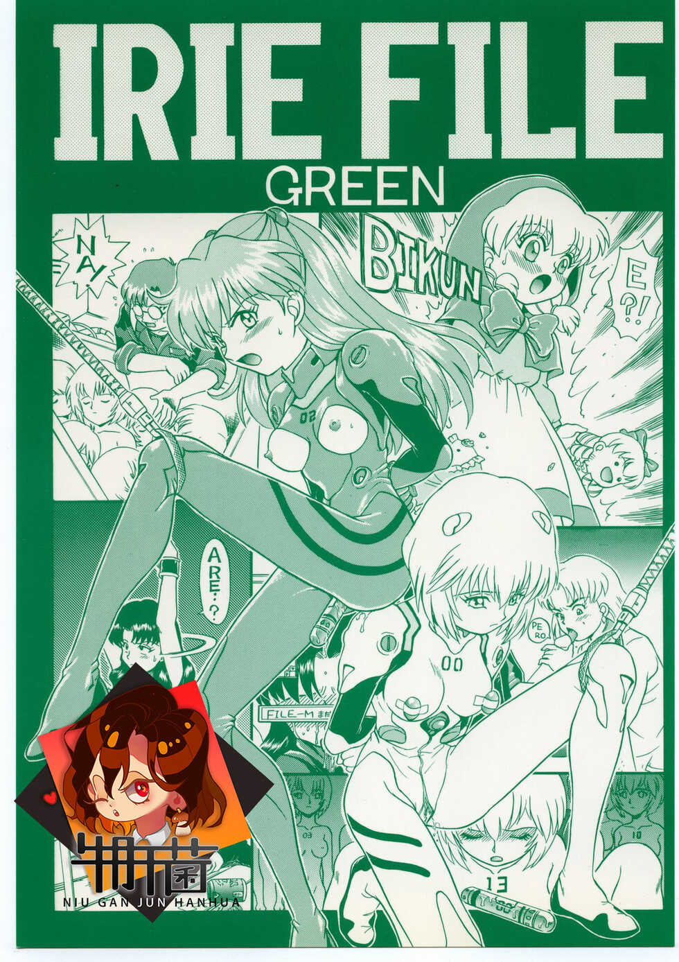 (C54) [Rat Tail (Irie Yamazaki)] IRIE FILE GREEN (Neon Genesis Evangelion, Akazukin Cha Cha)[Chinese] [牛肝菌汉化] - Page 1