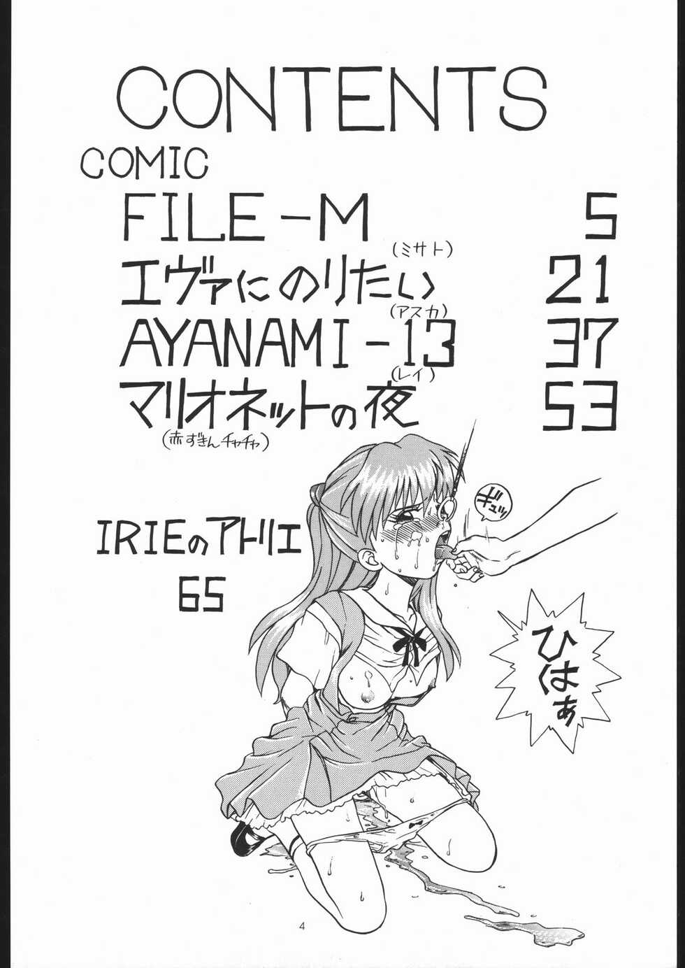 (C54) [Rat Tail (Irie Yamazaki)] IRIE FILE GREEN (Neon Genesis Evangelion, Akazukin Cha Cha)[Chinese] [牛肝菌汉化] - Page 3