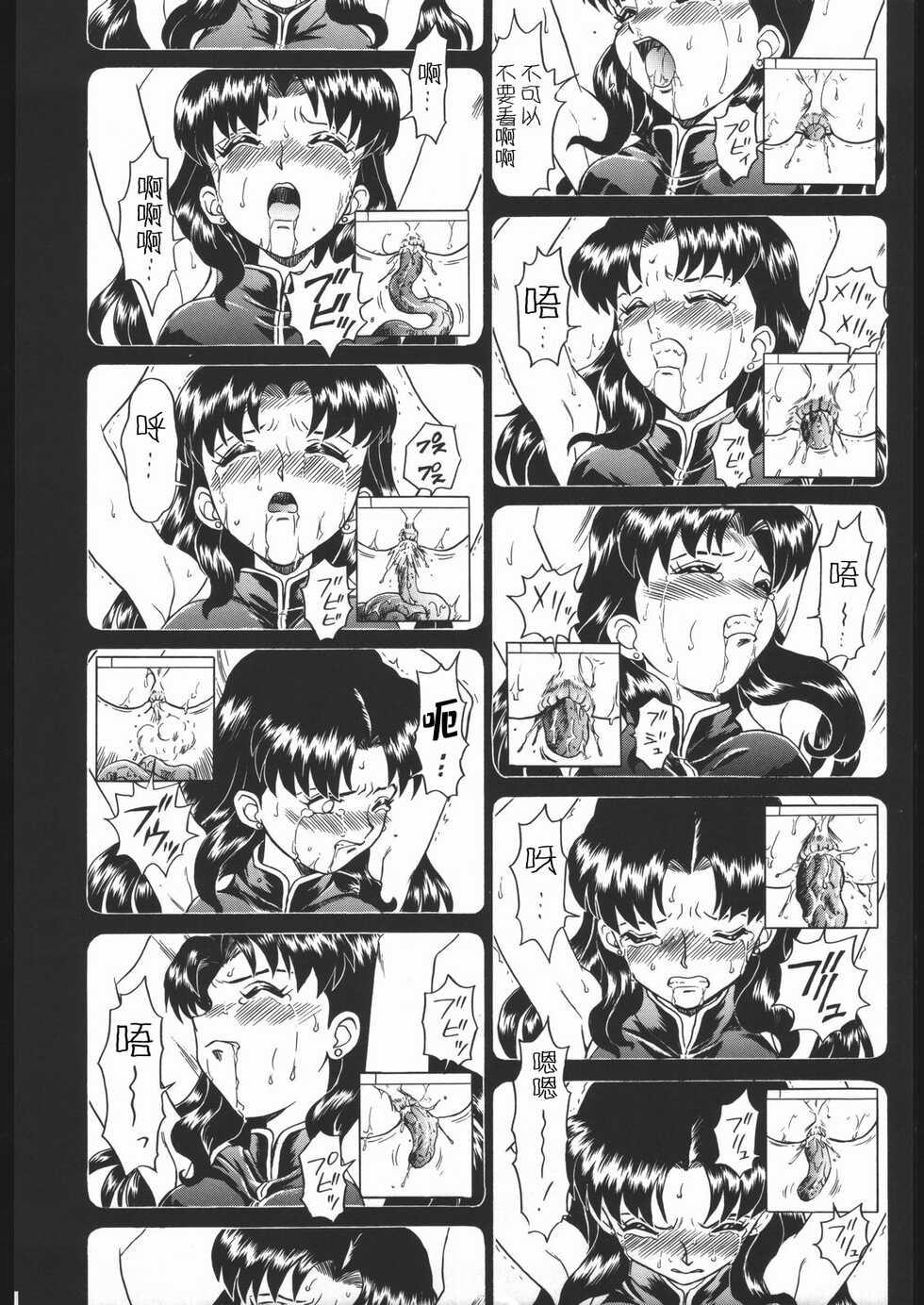 (C54) [Rat Tail (Irie Yamazaki)] IRIE FILE GREEN (Neon Genesis Evangelion, Akazukin Cha Cha)[Chinese] [牛肝菌汉化] - Page 17