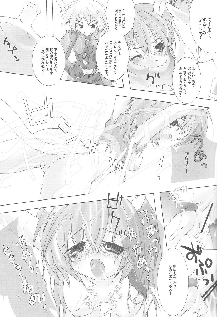 (C67) [AZA+ (Yoshimune)] Mithra ko Mithra 3 (Final Fantasy XI) - Page 14