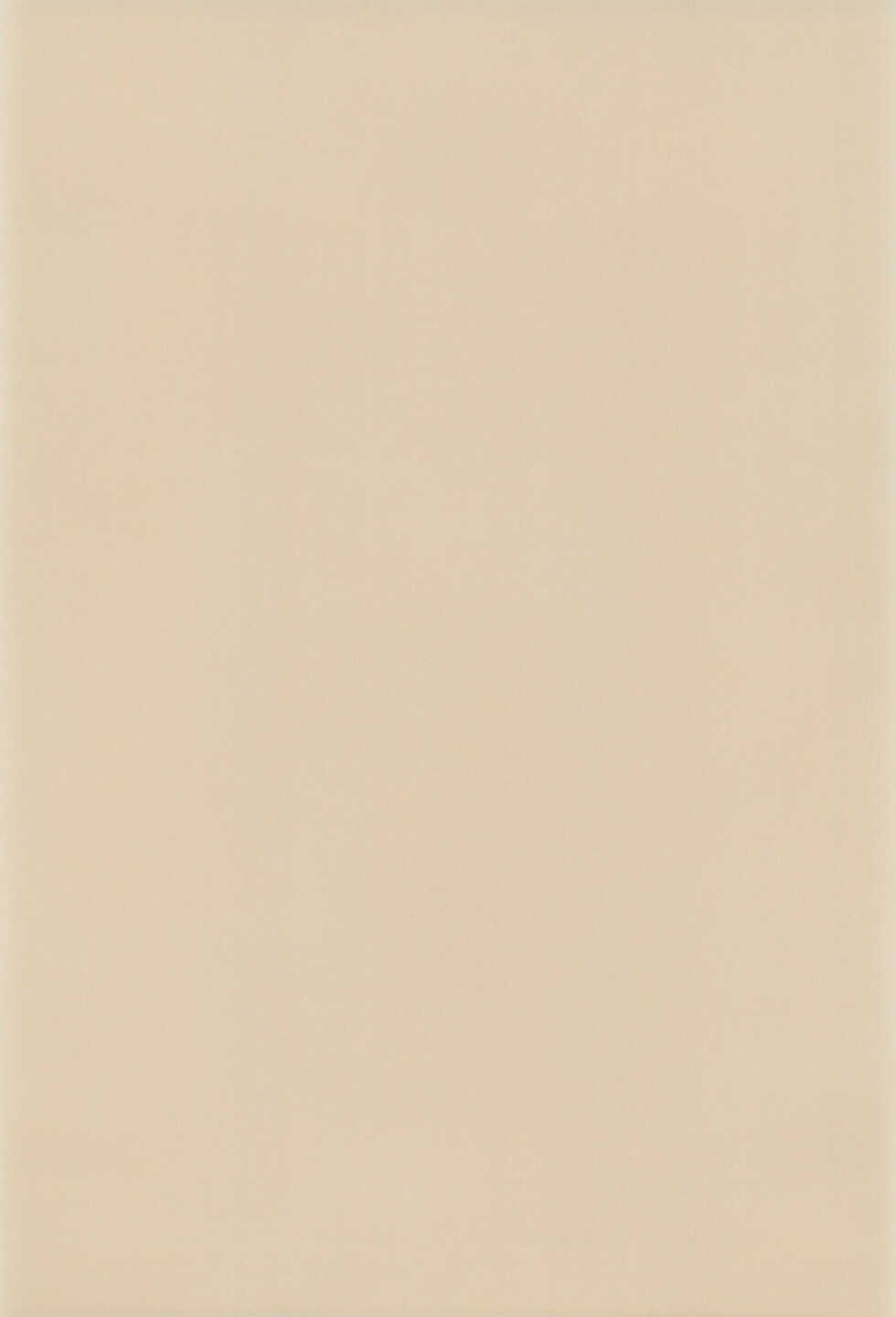 (C59) [Hosokawaya (Hosokawa Fuziemon)] THERE’S SOMETHING ABOUT TORTE! (10 Carat Torte!) - Page 3