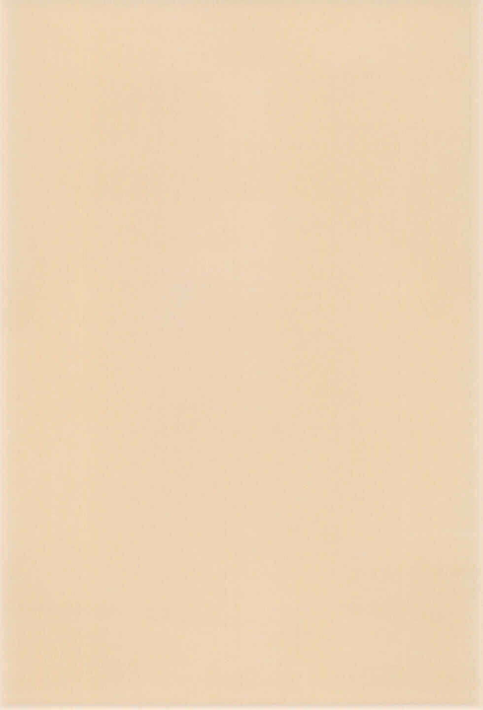 (C59) [Hosokawaya (Hosokawa Fuziemon)] THERE’S SOMETHING ABOUT TORTE! (10 Carat Torte!) - Page 4