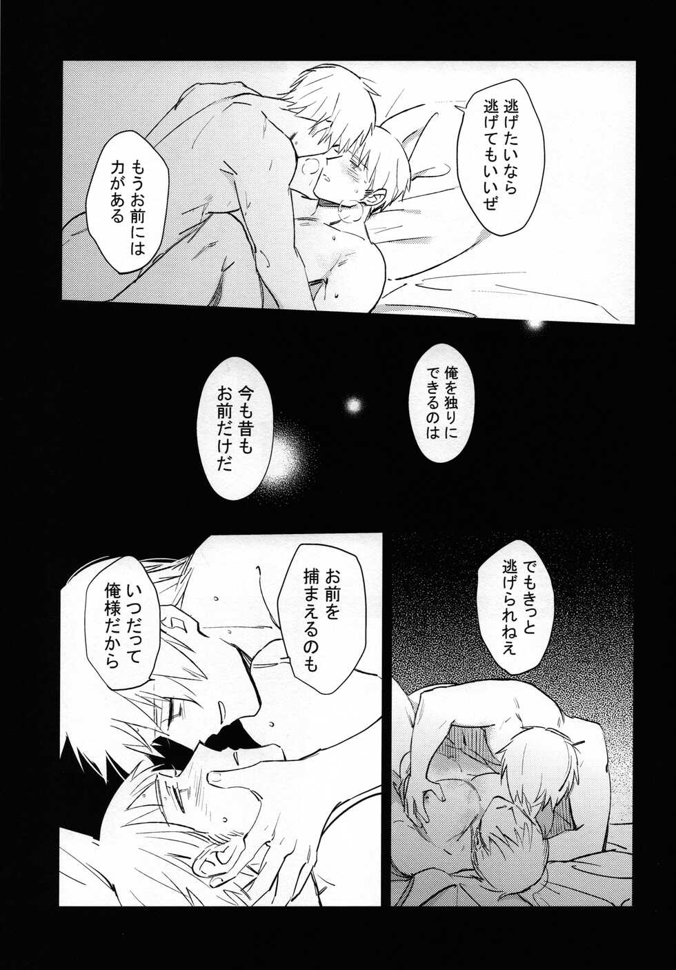 (C86) [Rootpia (CoQ10)] Yume no Manimani (Axis Powers Hetalia) - Page 22