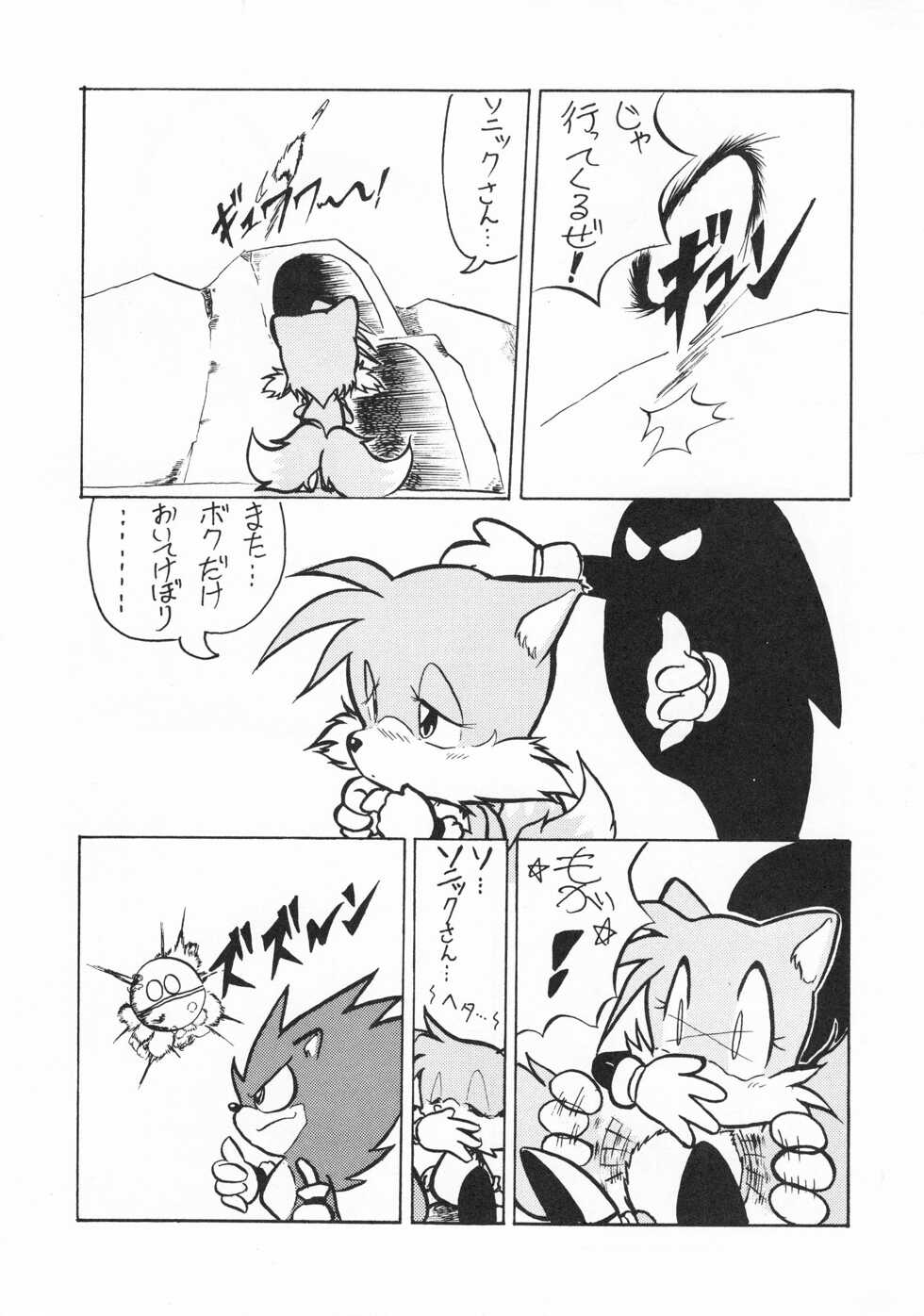 [Tadashii Kemonomichi (Enneko)] Echinococcus REMIX - Page 11