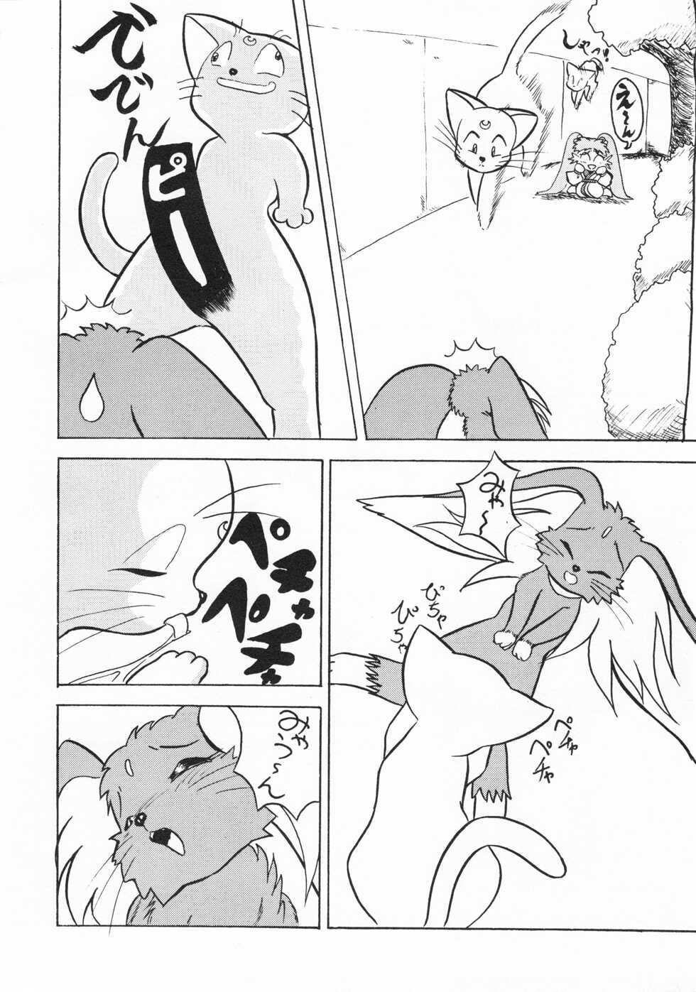 [Tadashii Kemonomichi (Enneko)] Echinococcus REMIX - Page 29