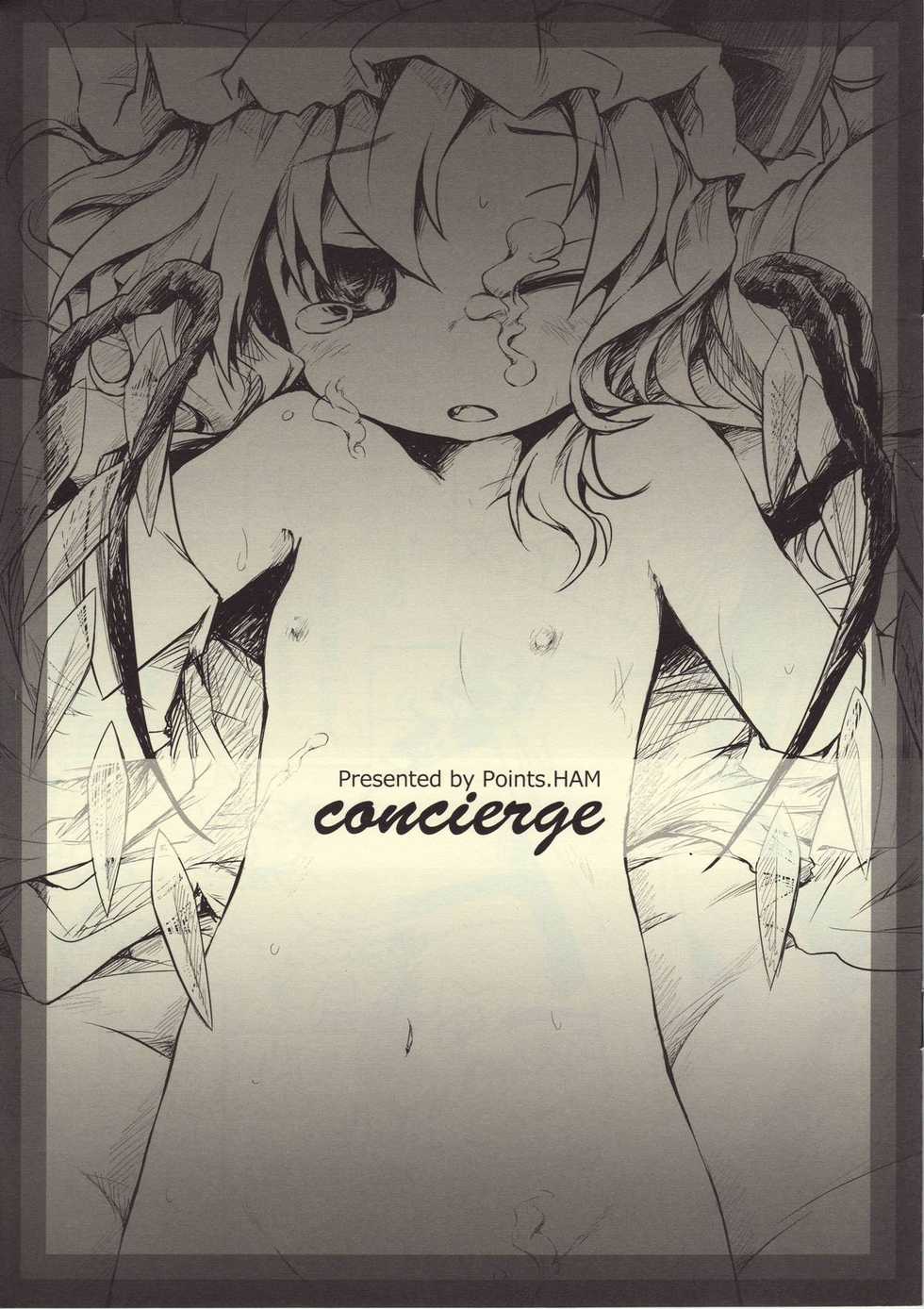 (Aka no Hiroba 3) [Points (HAM)] concierge (Touhou Project) - Page 1
