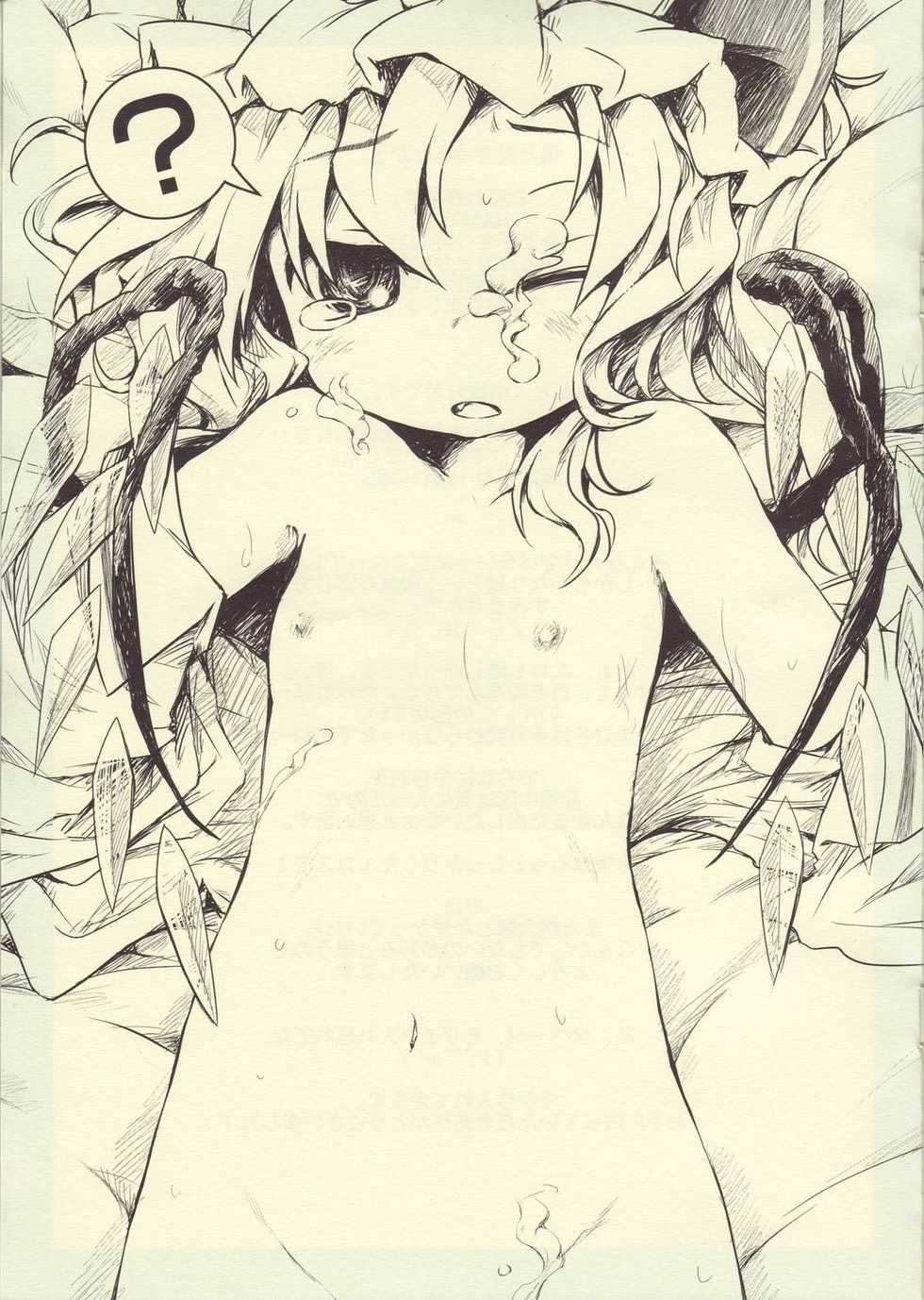 (Aka no Hiroba 3) [Points (HAM)] concierge (Touhou Project) - Page 8