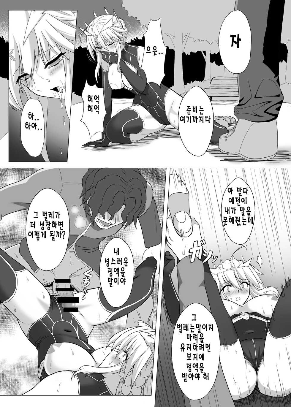 [Hell and Heaven] Fate/NTR (Fate/Grand Order) [Korean] [Digital] - Page 20